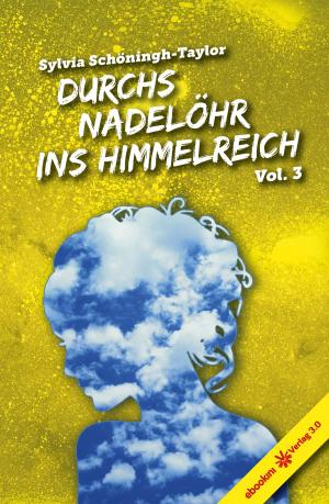 Cover of the book Durchs Nadelöhr ins Himmelreich Vol. 3 by 