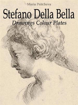 Book cover of Stefano Della Bella: Drawings Colour Plates