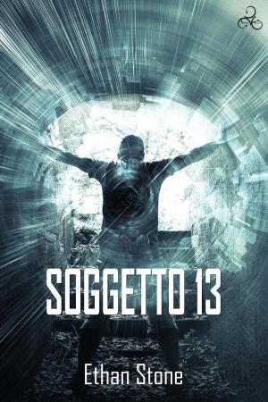 Cover of the book Soggetto 13 by N.R. Walker