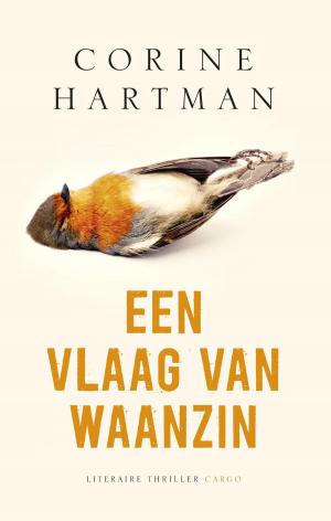 Cover of the book Een vlaag van waanzin by Wim Daniëls