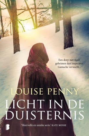 Cover of the book Licht in de duisternis by Tammy Cohen