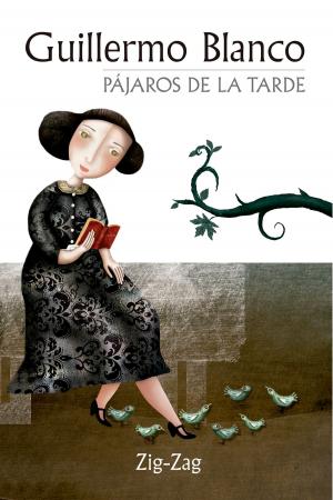 Book cover of Pájaros de la tarde