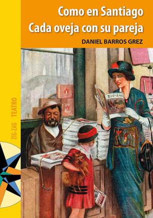 Cover of the book Como en Santiago / Cada oveja con su pareja by Gustave Flaubert