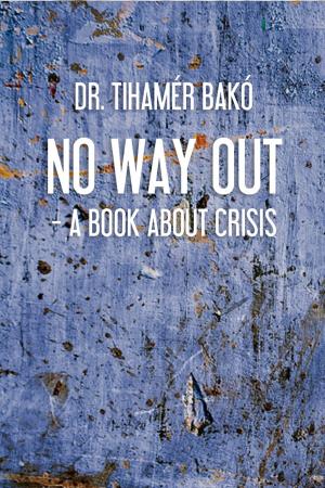 Cover of the book No way out? by Lisa Cypers Kamen
