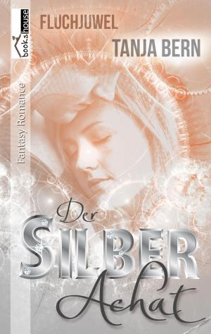 Cover of the book Der Silberachat - Fluchjuwel 1 by Elle Beauregard