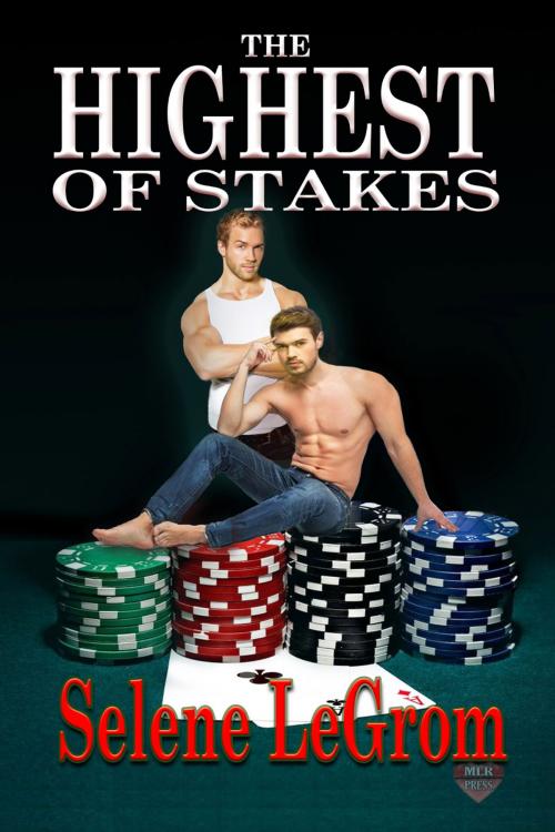 Cover of the book The Highest of Stakes by Selene LeGrom, MLR Press