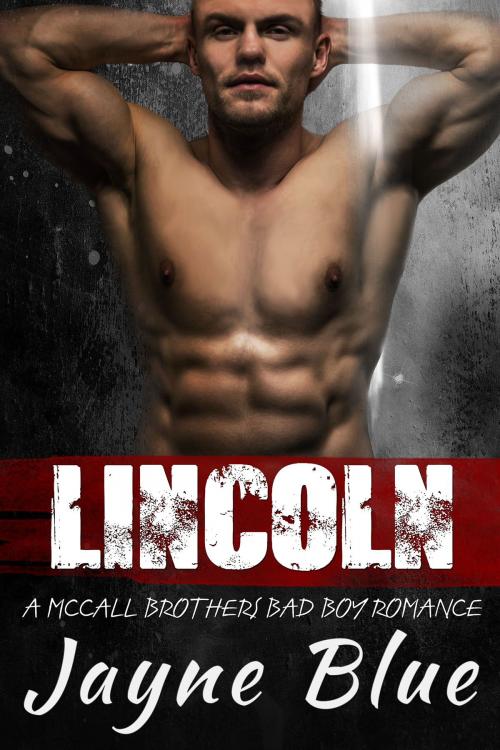 Cover of the book Lincoln by Jayne Blue, Jayne Blue