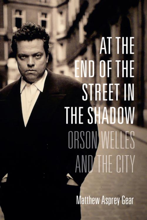 Cover of the book At the End of the Street in the Shadow by Matthew Asprey Gear, Columbia University Press