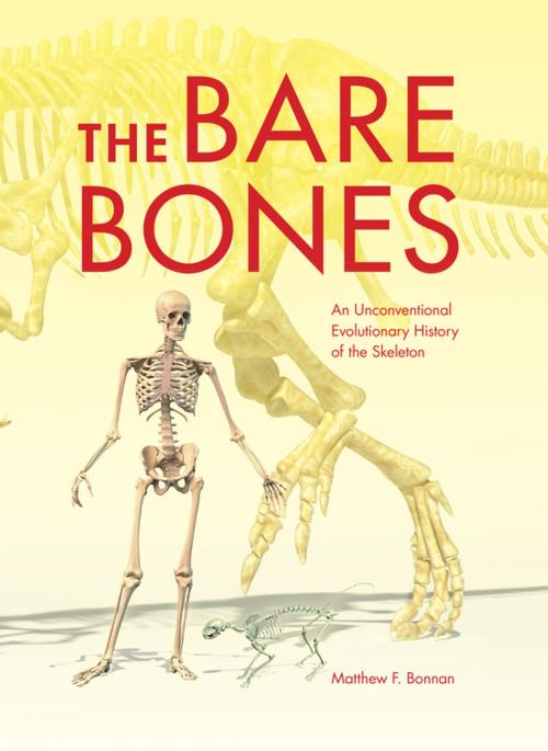 Cover of the book The Bare Bones by Matthew F. Bonnan, Indiana University Press