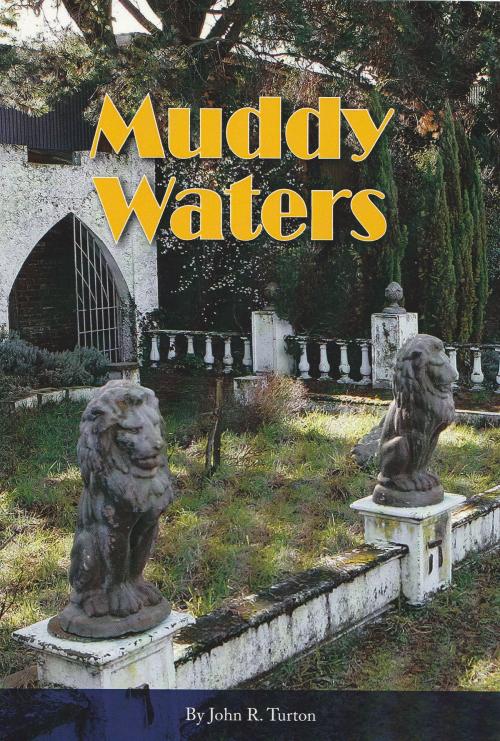 Cover of the book MUDDY WATERS by John Turton, John Turton