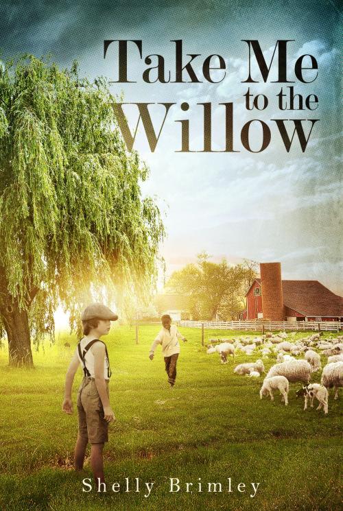 Cover of the book Take Me to the Willow by Shelly Brimley, Shelly Brimley