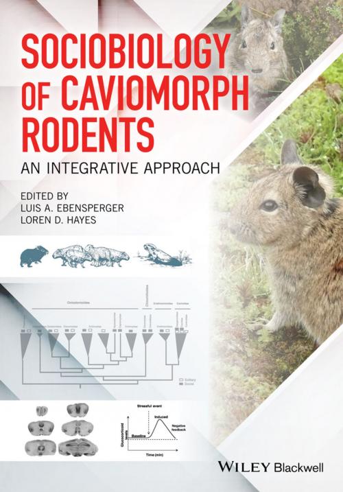 Cover of the book Sociobiology of Caviomorph Rodents by , Wiley