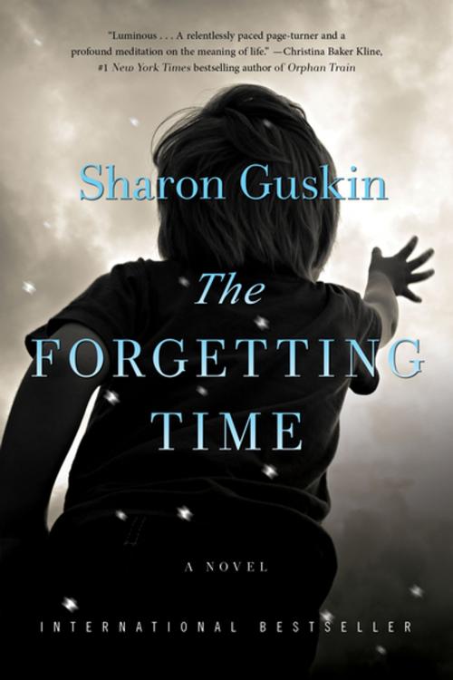 Cover of the book The Forgetting Time by Sharon Guskin, Flatiron Books