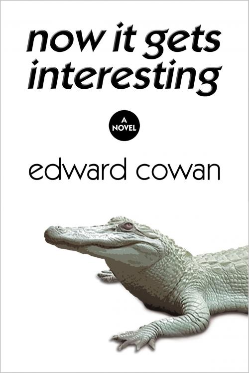 Cover of the book Now It Gets Interesting by Edward Cowan, Edward Cowan