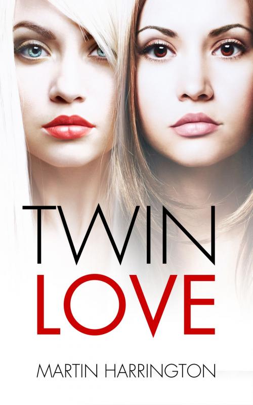 Cover of the book Twin Love by Martin Harrington, Martin Harrington