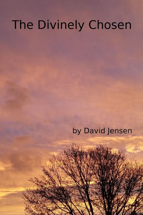 Cover of the book The Divinely Chosen by David Jensen, David Jensen