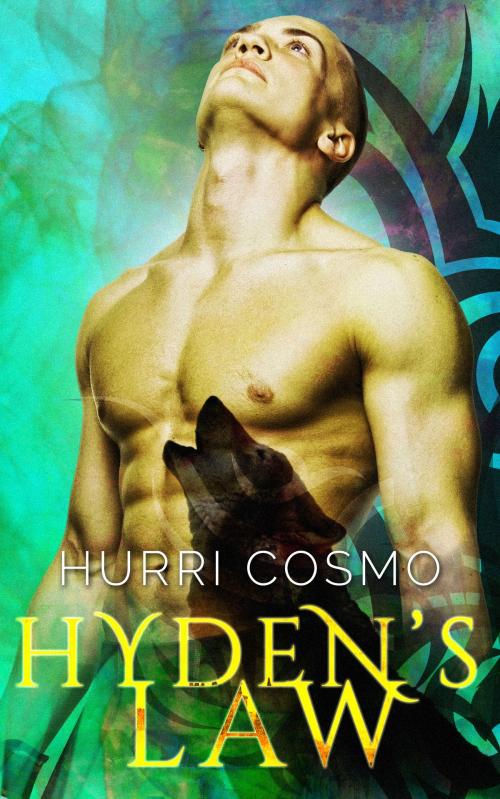 Cover of the book Hyden's Law by Hurri Cosmo, Hurri Cosmo