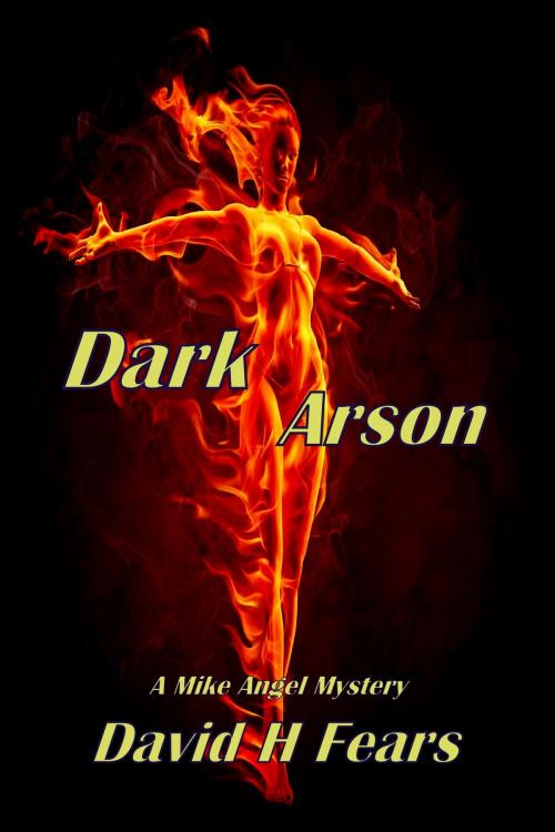 Cover of the book Dark Arson: A Mike Angel Mystery by David H Fears, David H Fears