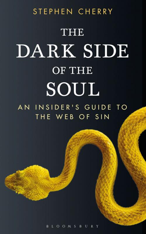 Cover of the book The Dark Side of the Soul by Stephen Cherry, Bloomsbury Publishing