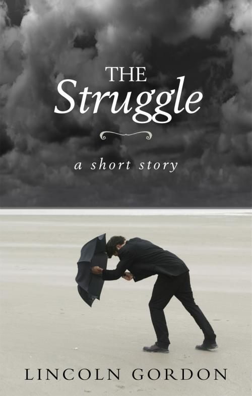 Cover of the book The Struggle by Lincoln Gordon, BookBaby