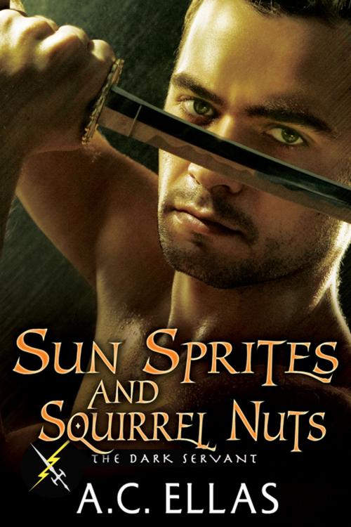 Cover of the book Sun Sprites and Squirrel Nuts by A.C. Ellas, eXtasy Books Inc