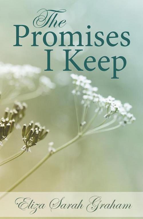 Cover of the book The Promises I Keep by Eliza Sarah Graham, Balboa Press