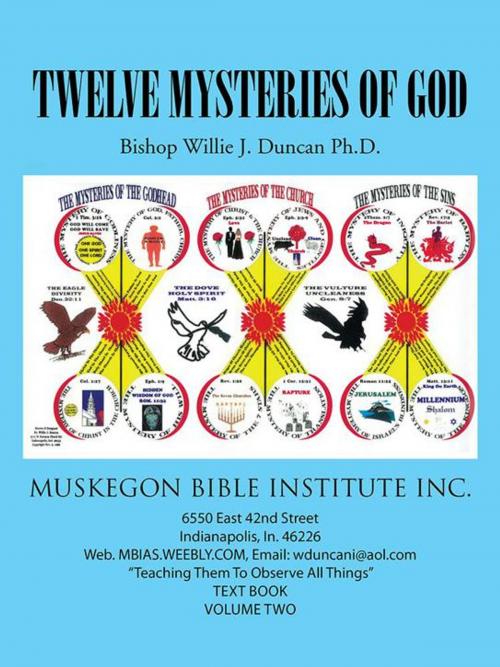Cover of the book Twelve Mysteries of God by Willie Duncan, AuthorHouse