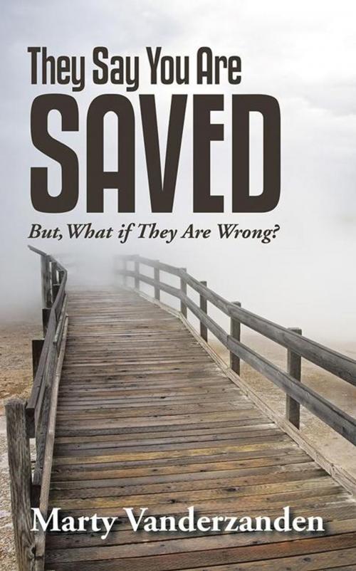 Cover of the book They Say You Are Saved by Marty Vanderzanden, WestBow Press