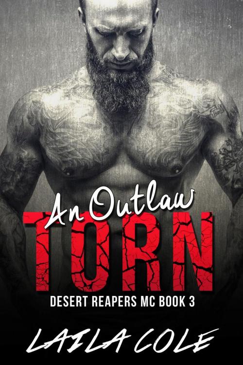 Cover of the book An Outlaw Torn - Book 3 by Laila Cole, Supernova Erotica