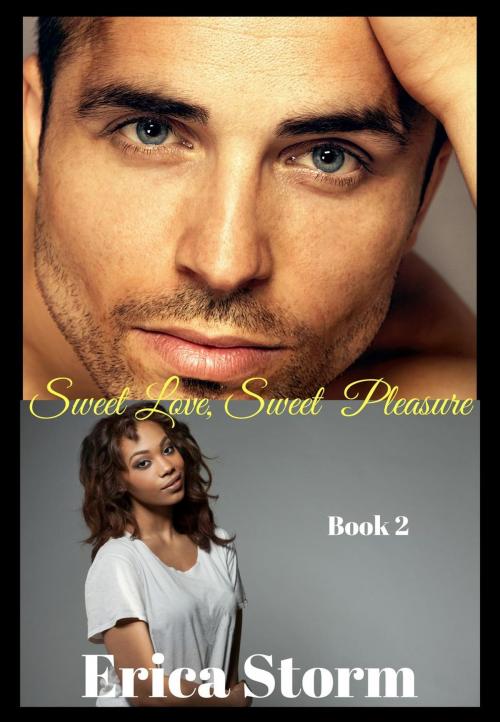 Cover of the book Sweet Love, Sweet Pleasures by Erica Storm, Erica Storm