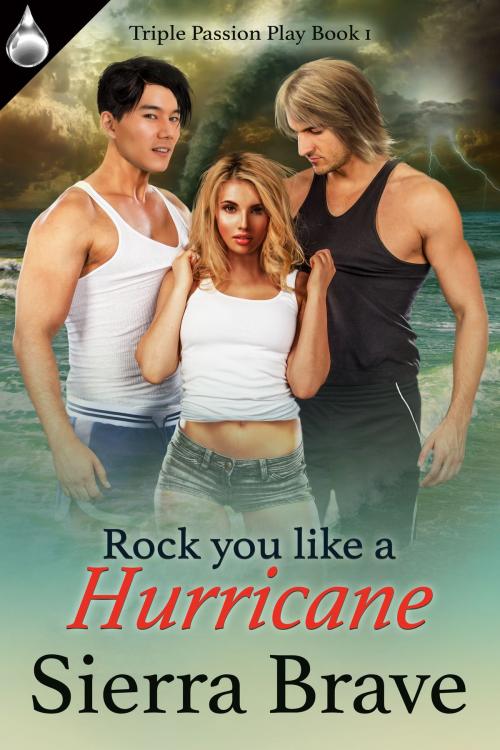 Cover of the book Rock You Like a Hurricane by Sierra Brave, Liquid Silver Books