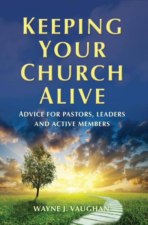 Cover of the book Keeping Your Church Alive by Wayne  Vaughan, MCP Books