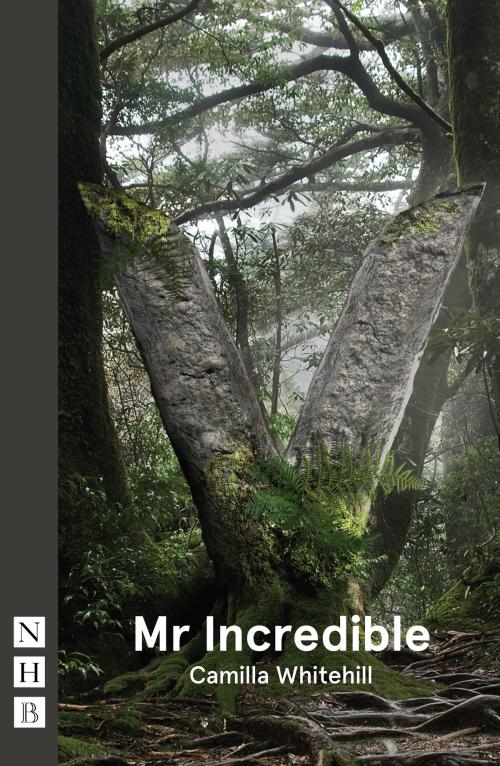 Cover of the book Mr Incredible (NHB Modern Plays) by Camilla Whitehill, Nick Hern Books