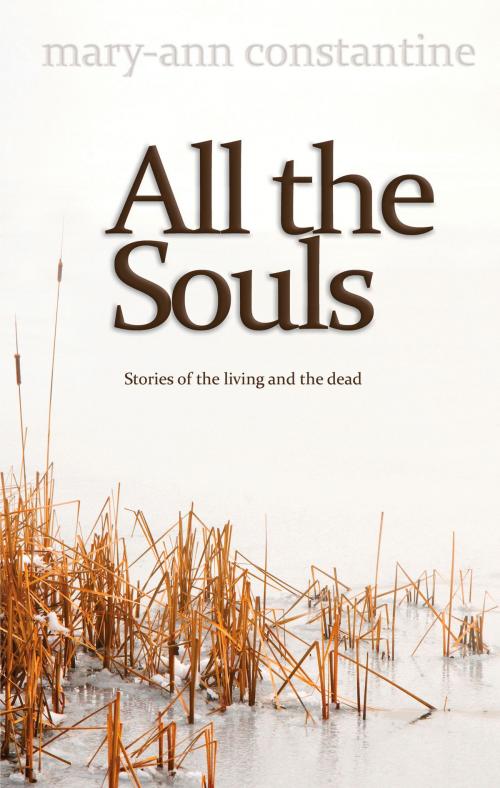 Cover of the book All the Souls by Mary-Ann Constantine, Seren
