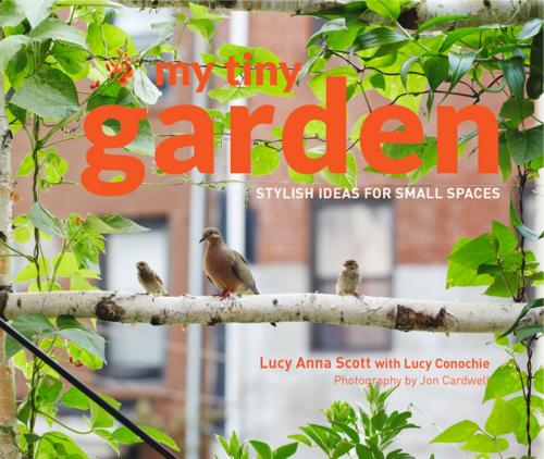 Cover of the book My Tiny Garden by Lucy Scott, Jon Cardwell, Pavilion Books