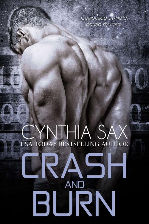 Cover of the book Crash And Burn by Cynthia Sax, Cynthia Sax