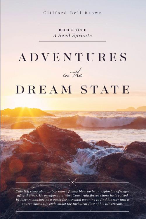 Cover of the book ADVENTURES IN THE DREAM STATE by Clifford Bell Brown, Clifford Bell Brown