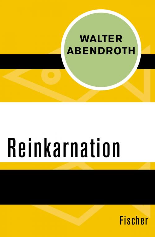 Cover of the book Reinkarnation by Walter Abendroth, FISCHER Digital