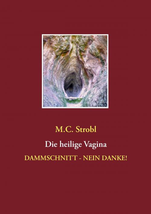 Cover of the book Die heilige Vagina by M.C. Strobl, Books on Demand