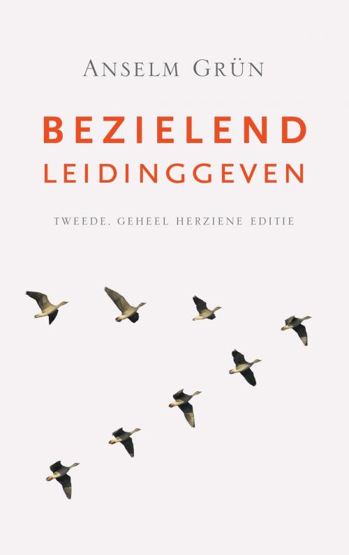 Cover of the book Bezielend leidinggeven by Anselm Grün, VBK Media