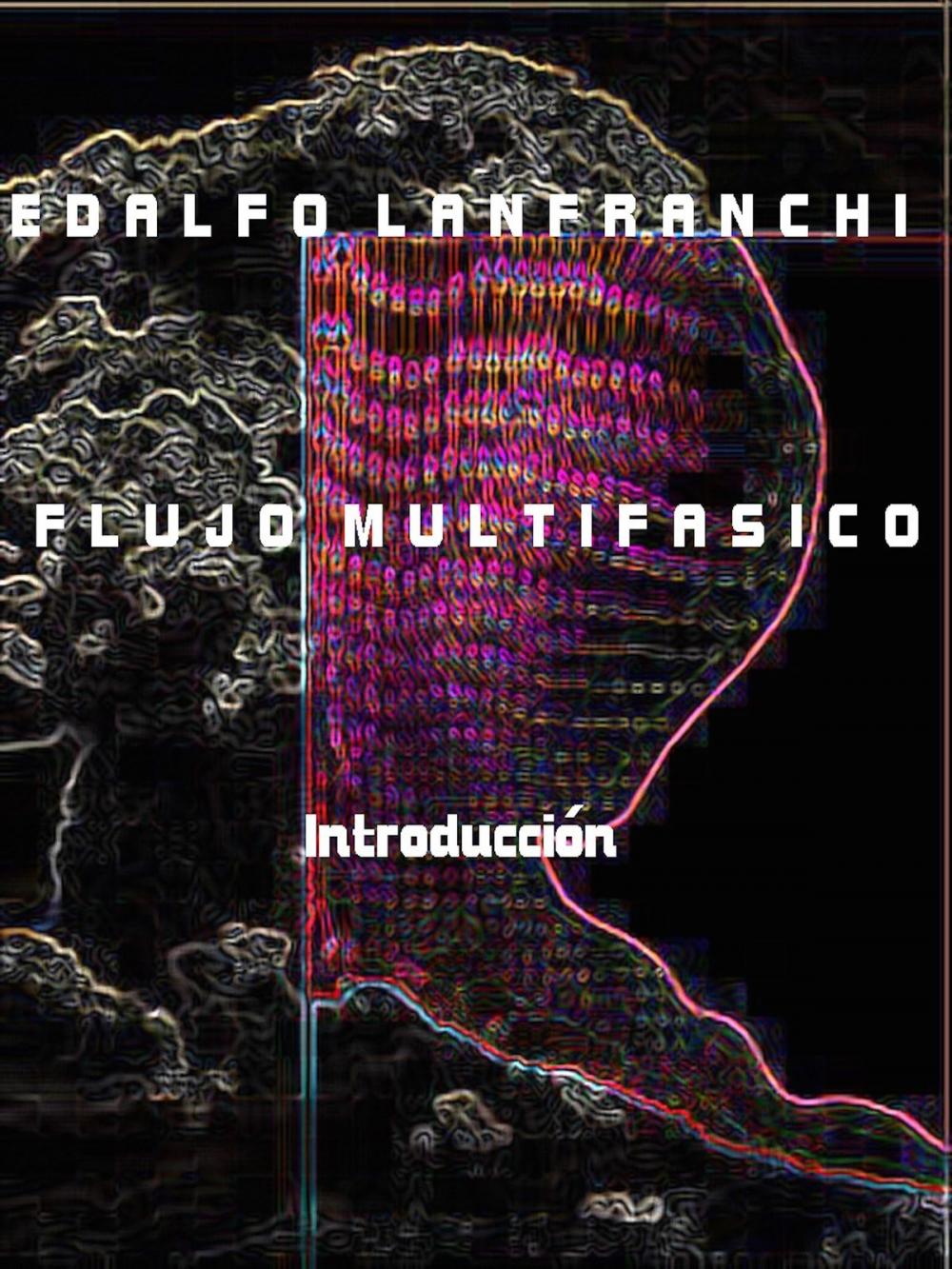 Big bigCover of Flujo Multifasico