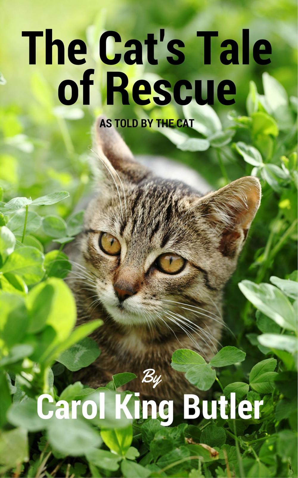 Big bigCover of The Cat's Tale of Rescue