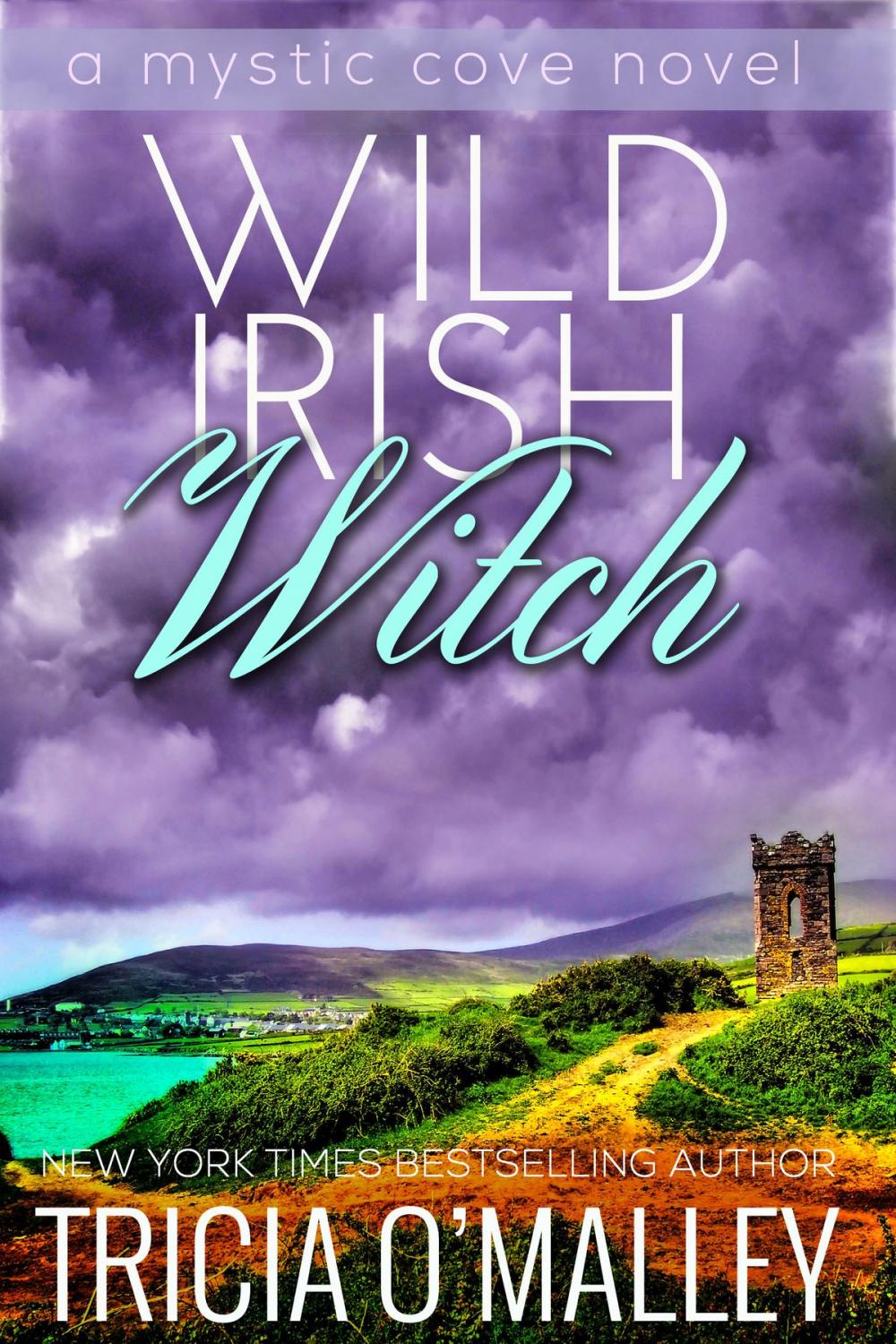 Big bigCover of Wild Irish Witch