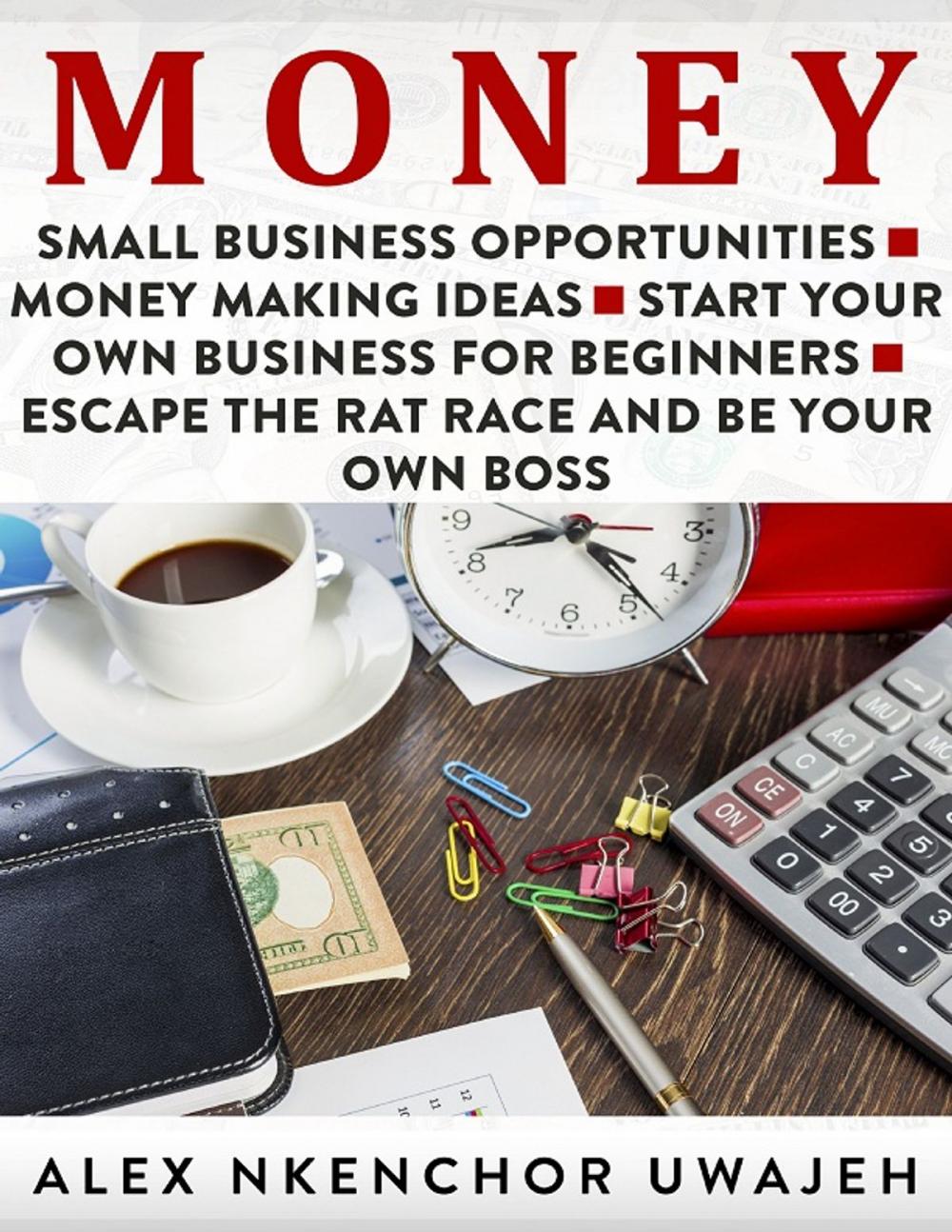 Big bigCover of Money: Small Business Opportunities - Money Making Ideas