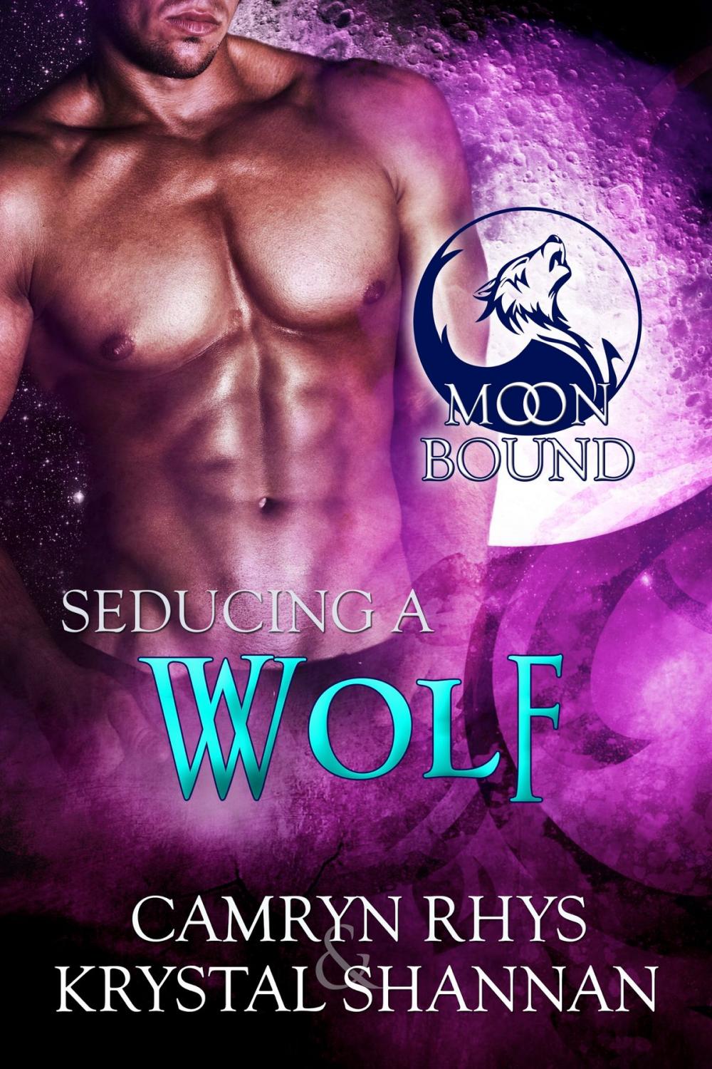 Big bigCover of Seducing a Wolf