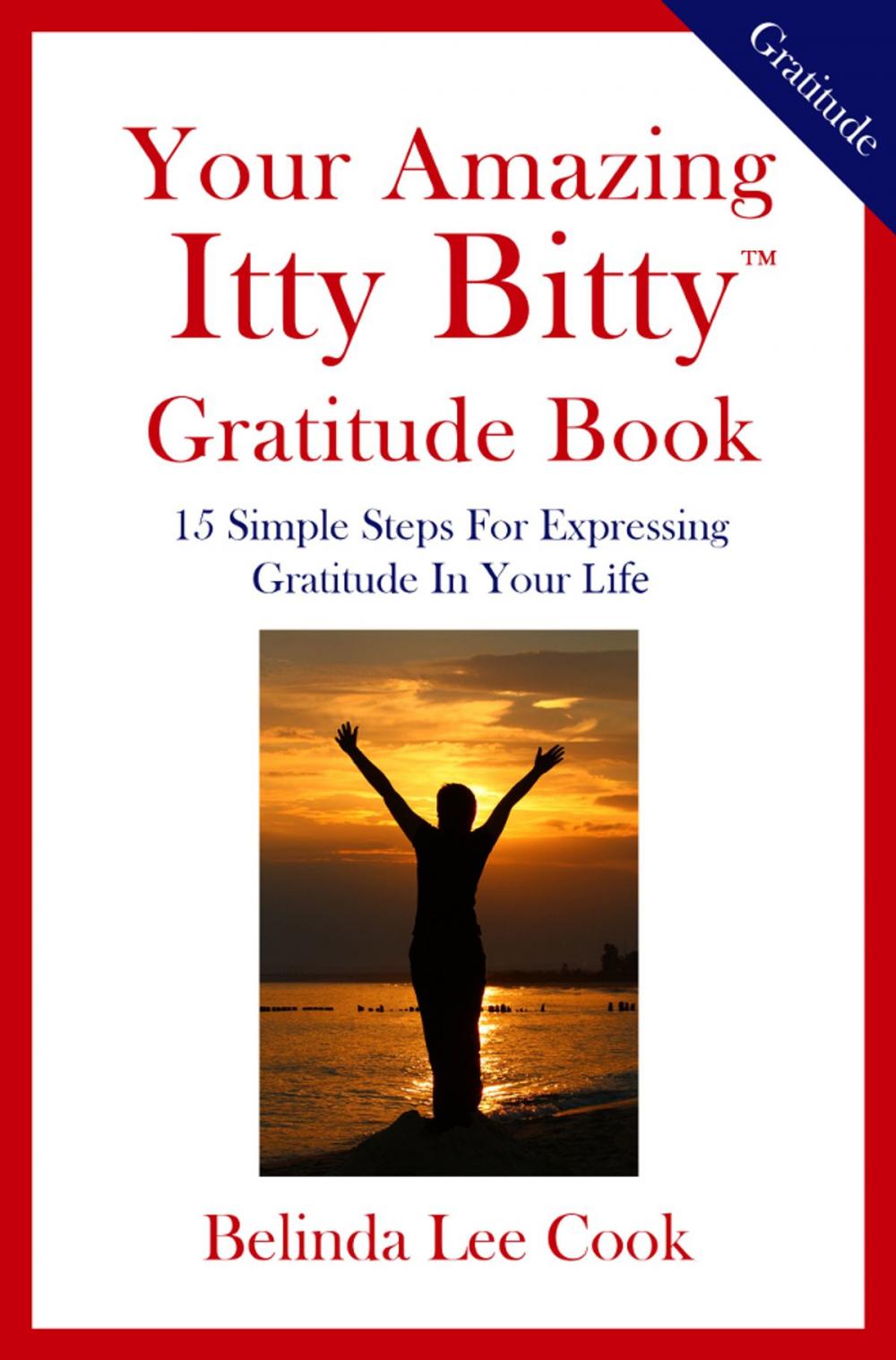 Big bigCover of Your Amazing Itty Bitty™ Gratitude Book