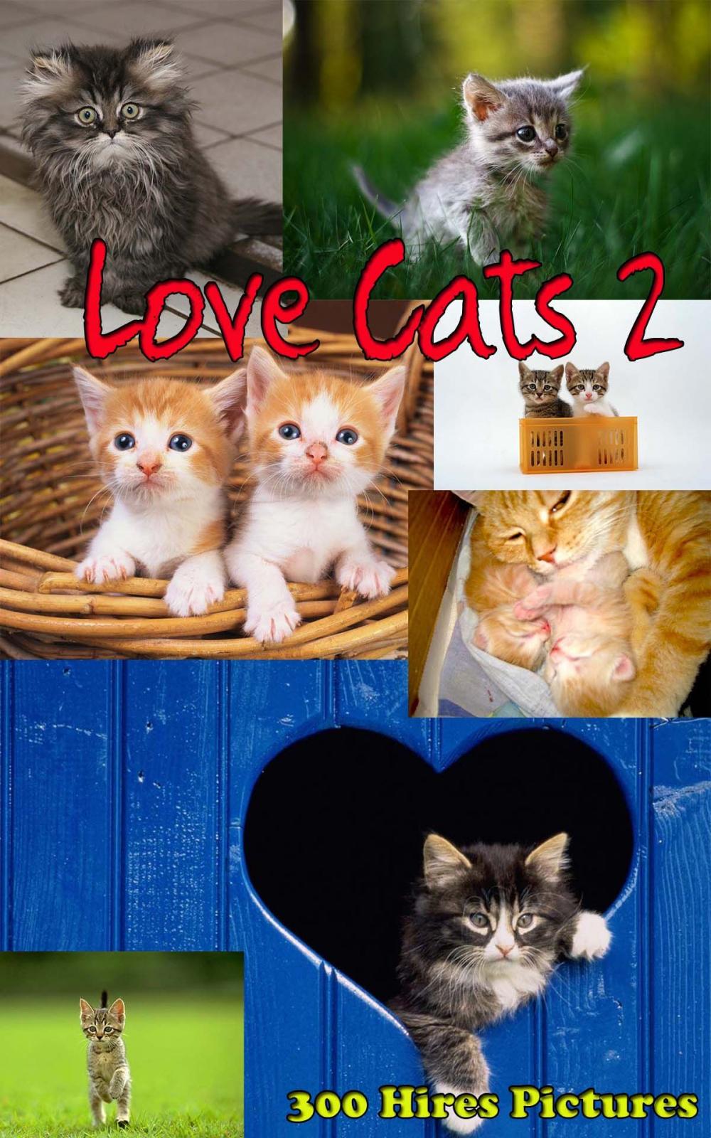 Big bigCover of Love Cats 2