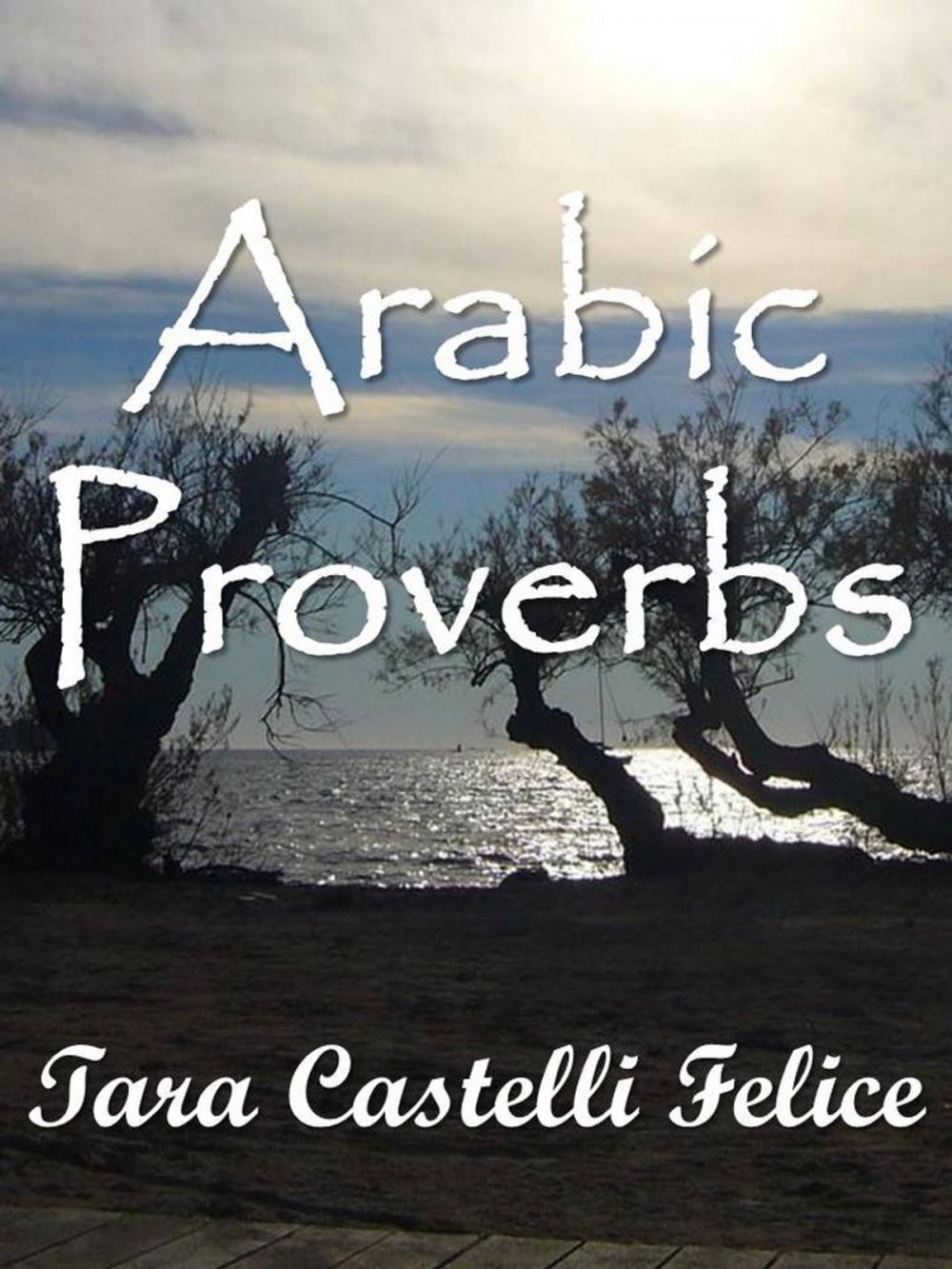 Big bigCover of I Proverbi Arabi