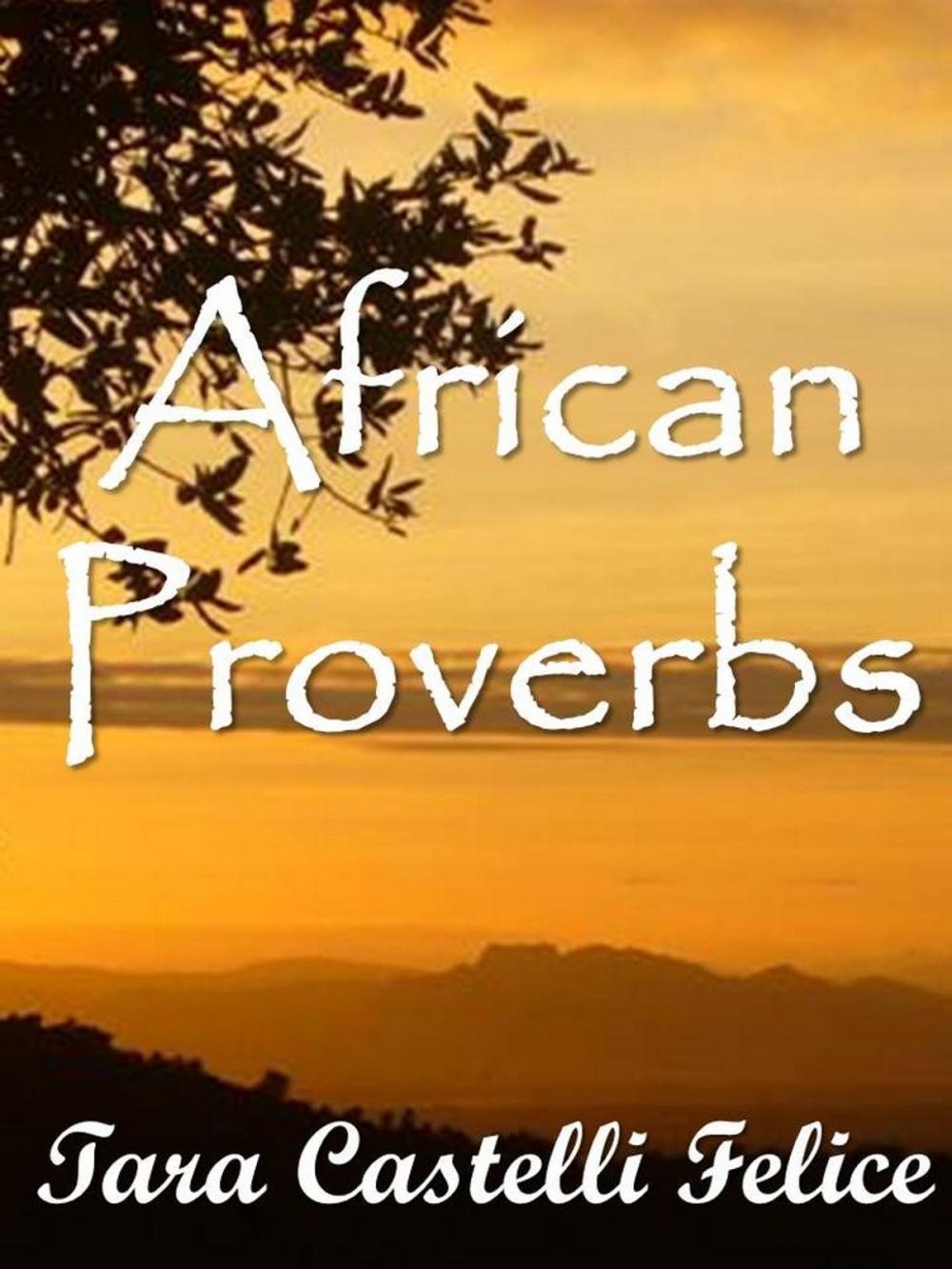 Big bigCover of I Proverbi Africani