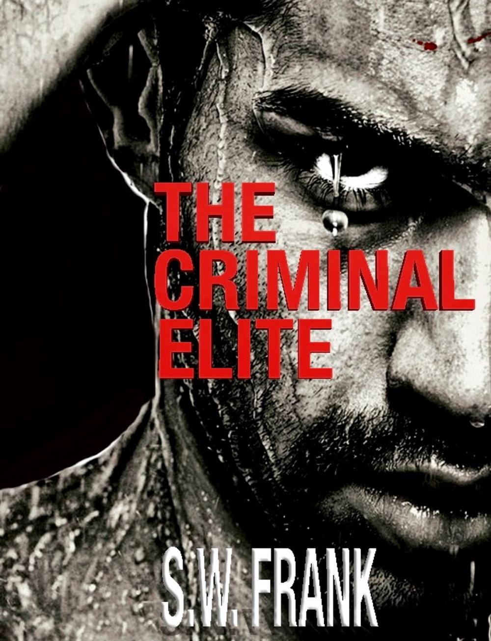 Big bigCover of The Criminal Elite